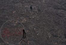 الحراقات هي أسطح شفوية سوداء