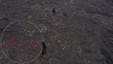 الحراقات هي أسطح شفوية سوداء