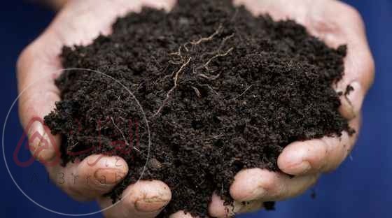 نطاق التربه الذي يحوي معظم المواد العضويه يسمى