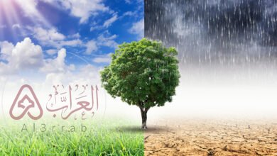 بحث عن التغيرات المناخية بالمراجع pdf