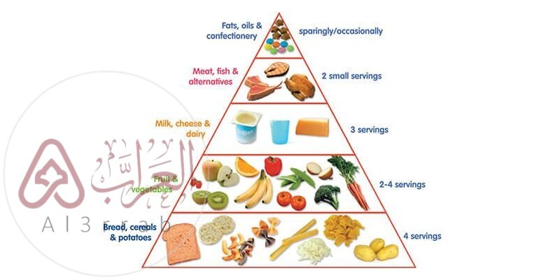 تشكل قاعدة الهرم الغذائي