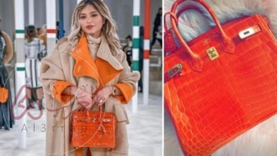 كم سعر شنطه نهى نبيل المسروقه وهل تم استرجاعها