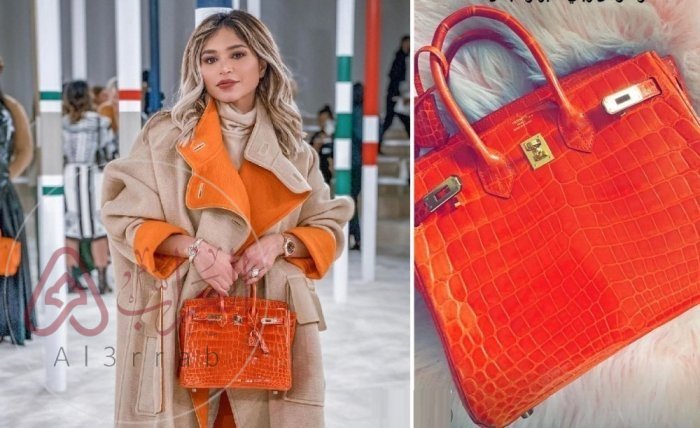 كم سعر شنطه نهى نبيل المسروقه وهل تم استرجاعها