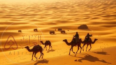 ما مرادف كلمة القافلة