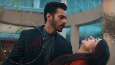 مسلسل حياتي بدونك مترجمة قصة عشق