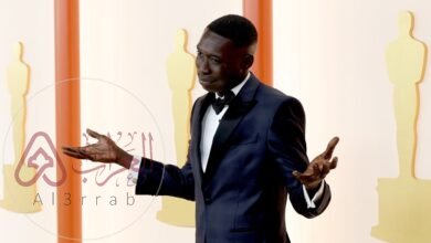 من هو افضل صانع محتوي في التيك توك