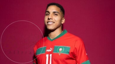 من هي زوجة اللاعب عبد الحميد صابيري ويكيبيديا