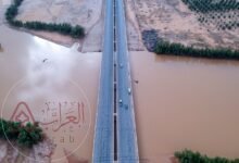 يمتد وادي الرمة في المنطقة