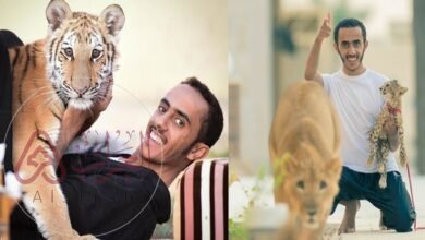 من هو أسامة الدغيري ويكيبيديا؟ السيرة الذاتية كاملة وأبرز المعلومات عنه