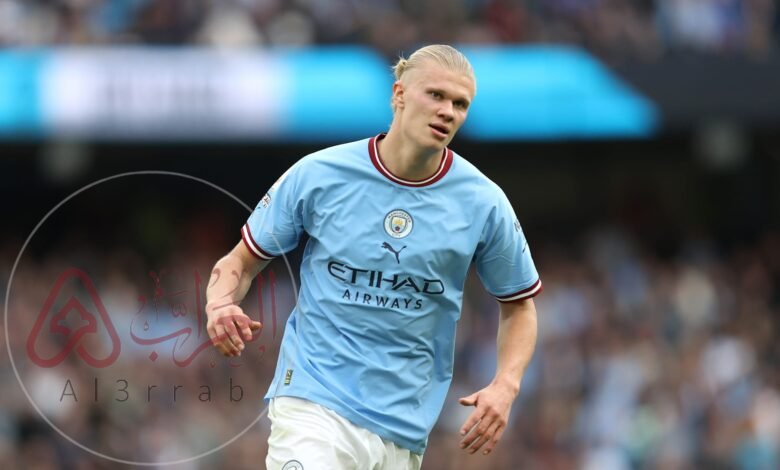 اكثر لاعب تسجيلا للاهداف في موسم واحد في الدوري الانجليزي