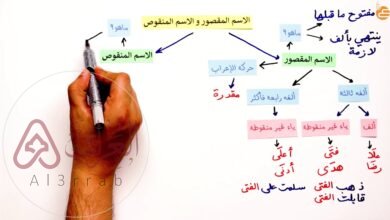 الاسم المقصور هو