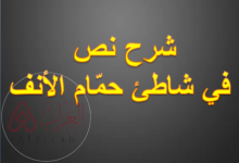 شرح نص في شاطئ حمّام الأنف