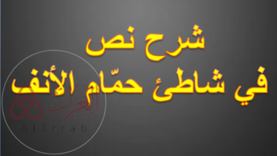 شرح نص في شاطئ حمّام الأنف