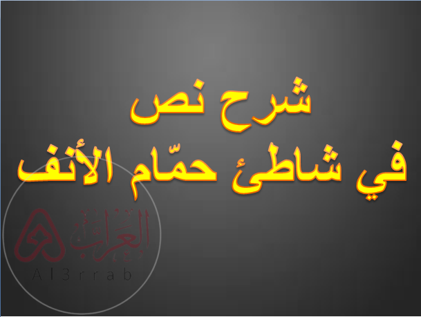 شرح نص في شاطئ حمّام الأنف