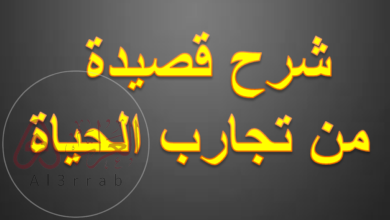 شرح قصيدة من تجارب الحياة