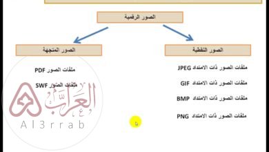 تتكون كل الصور الرقميه من نقاط صغيره تسمى