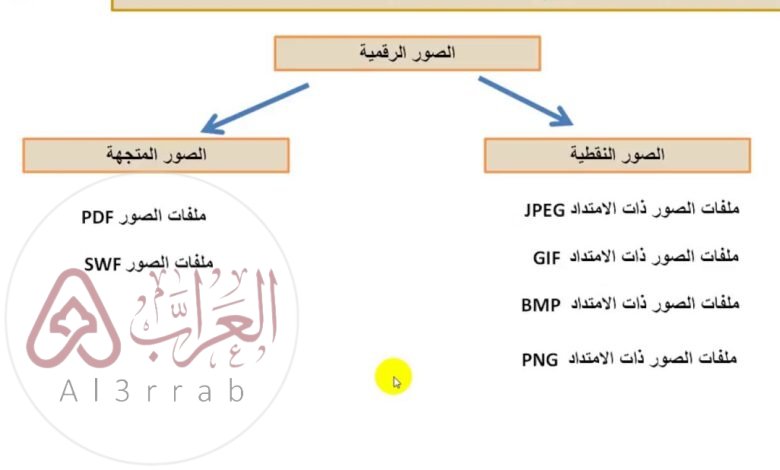 تتكون كل الصور الرقميه من نقاط صغيره تسمى