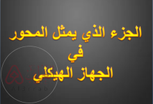 الجزء الذي يمثل المحور في الجهاز الهيكلي