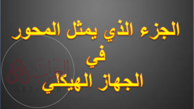 الجزء الذي يمثل المحور في الجهاز الهيكلي