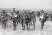 ما هي حرب الاستنزاف ويكيبيديا