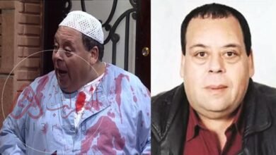 من هو الفنان احمد البرعي ويكيبيديا