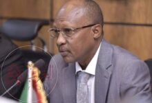 من هو برعي الصديق علي أحمد ويكيبيديا محافظ البنك المركزي السودان