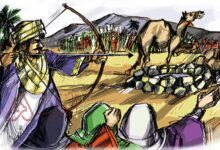 من هو قدار بن سالف بن جندع ويكيبيديا