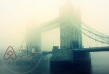 من هي مدينة الضباب