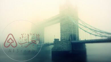 من هي مدينة الضباب