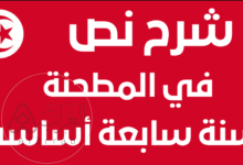 شرح نص في المطحنة