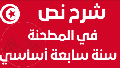 شرح نص في المطحنة