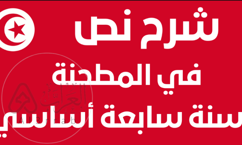 شرح نص في المطحنة