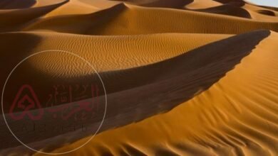 يتصف مناخ الربع الخالي بأنه