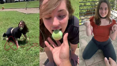 من هي جينا فيليبس ويكيبيديا