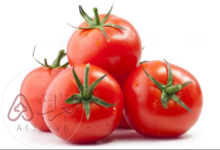 افضل وقت لزراعة الطماطم وفوائده للإنسان