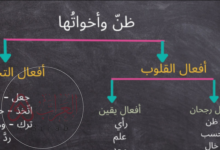المجموعة التي كتبت فيها الأفعال بشكل صحيح هي