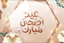 حكم من يملك المال ولا يضحي عند ابن باز.. هل يأثم تارك الأضحية رغم القدرة؟