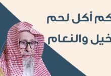 ما حكم اكل لحم الحصان ابن باز