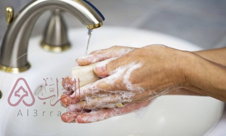 موضوع تعبير عن النظافة العامة وأهميتها في المجتمع