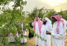 البسامي وش يرجعون ، اصل عائلة البسامي من وين