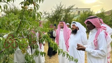 البسامي وش يرجعون ، اصل عائلة البسامي من وين