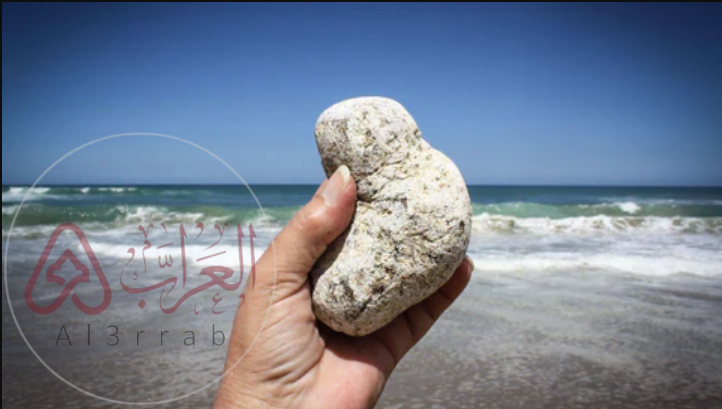 تجربتي مع العنبر للتسمين ومتى تبان نتيجة العنبر