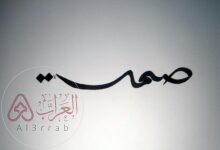 حكمه عن الصمت ، اجمل ما قيل عن الصمت والهدوء