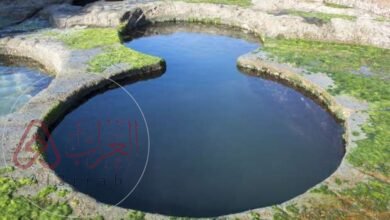 عين السرو الجوفية ويكيبيديا معلومات عنها