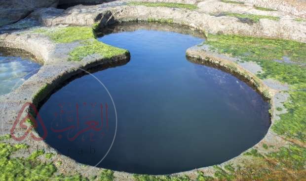 عين السرو الجوفية ويكيبيديا معلومات عنها