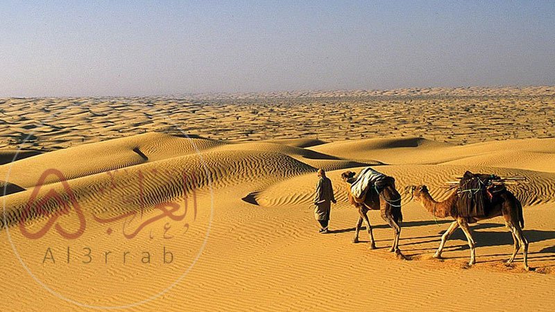 ما هو نسب قبيلة يام