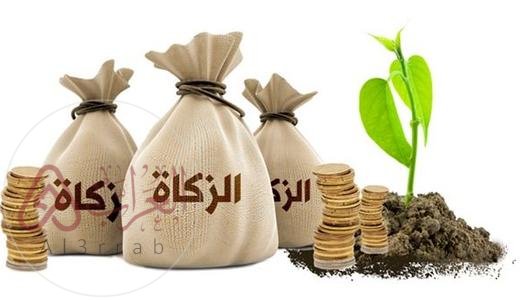 كم عدد مصارف الزكاة