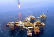 معلومات عن حقل الدرة ويكيبيديا