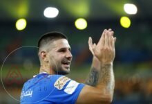 من هو ألكساندر ميتروفيتش ويكيبيديا