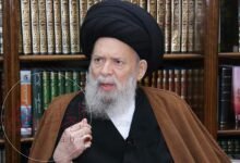 من هو السيد محمد حسين فضل الله ويكيبيديا